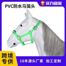 跨境热销PVC马笼头防水耐磨马笼头 环保马具装备笼头骑马马术用品