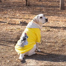 狗狗衣服夏秋款 拉布拉多金毛萨摩耶中华田园犬边牧犬大型犬卫衣