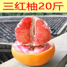 20斤三红柚子梅州蜜柚 新鲜水果红肉心西柚包邮特产怀孕妇甜
