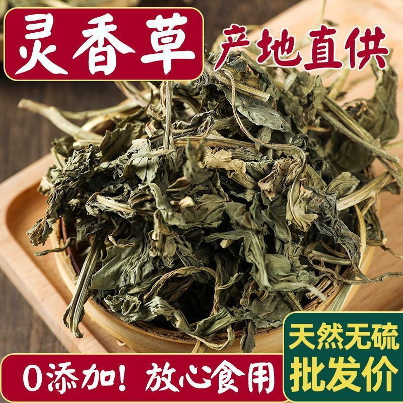 灵香草广西灵草卤水火锅灵草粉陵草灵草香料新货商用钓鱼驱虫