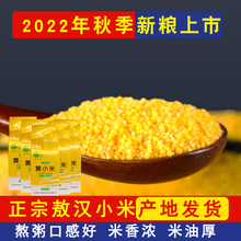 23年新米小黄米敖汉小米500g内蒙古赤峰食用杂粮大金苗k1蒙品汇