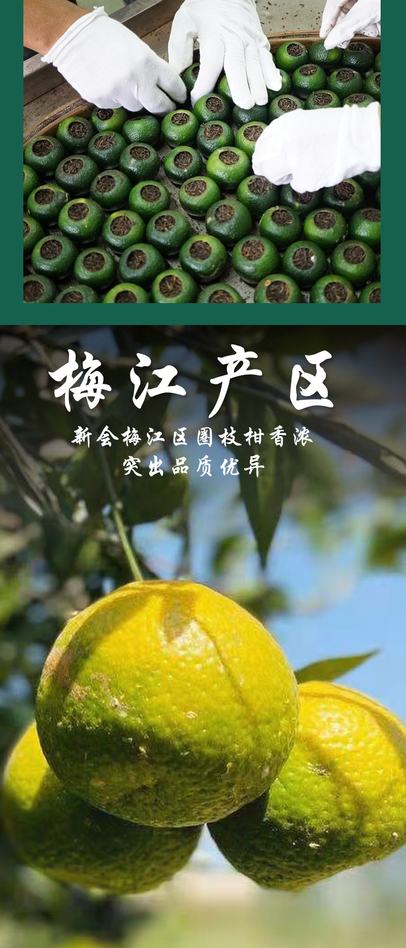 新会梅江小青柑散装清香型小青柑茶自然生晒金芽熟普小青柑普洱茶