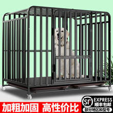 网红狗笼子大型犬中型带厕所分离室内金毛边牧拉布拉多特大号