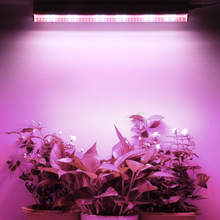 T8一体化灯管30CM全光谱LED植物灯防水幼苗培育生长灯光照灯