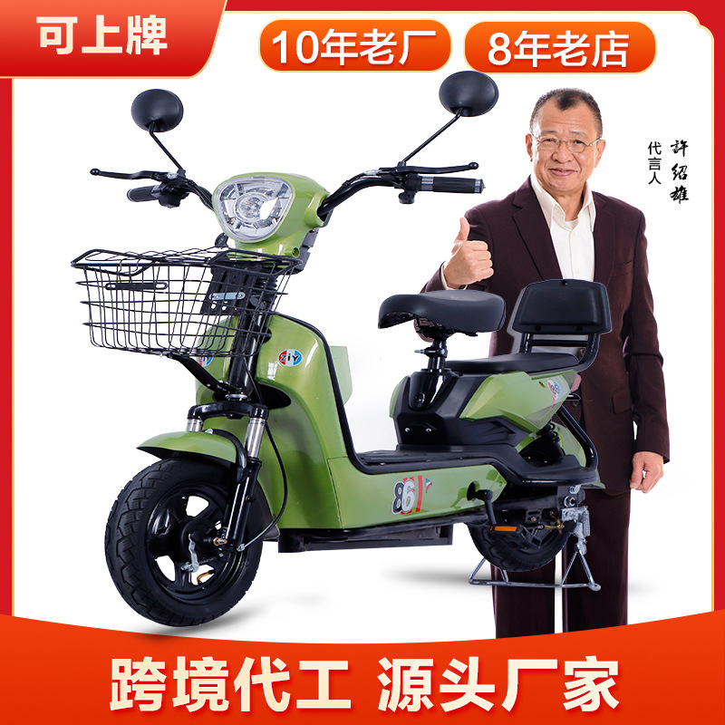 National Standard Electric Bicycle Adult 48V Two-Wheel Battery Car Double Factory Wholesale Electric Car Export