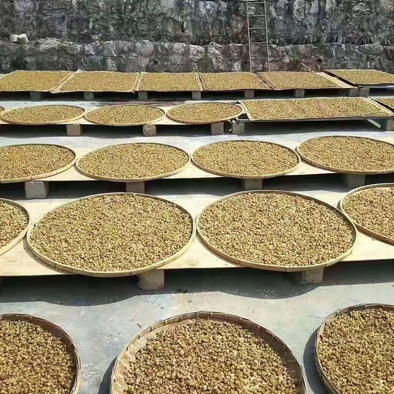 云南野生橄榄干泡水喝滇橄榄晒干余甘子油柑果利咽除痰油甘茶特产