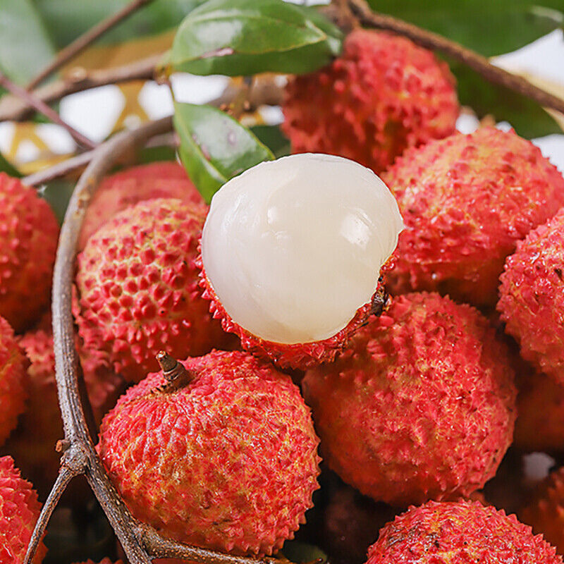 【宁夏鲜果】-宁夏鲜果厂家,品牌,图片,热帖-阿里巴巴