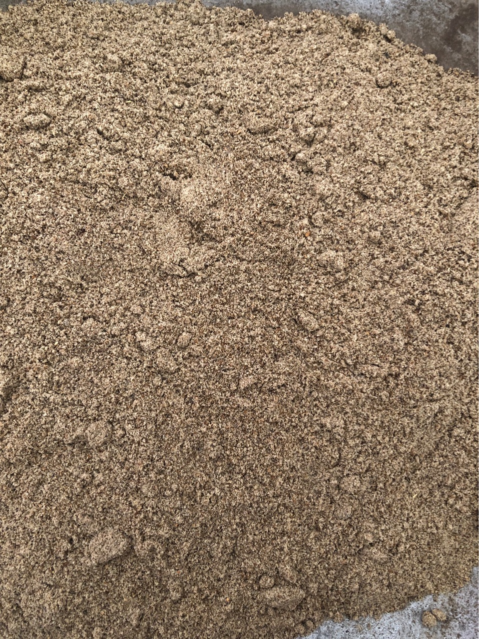 批发中药沙蒿子 粉 漠蒿 薄蒿 草蒿 荒地蒿 荒漠蒿各种规格代嚰粉