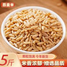 新货燕麦米5斤 农家自种燕麦仁荞麦米全胚芽燕麦五谷杂粮粗粮250g