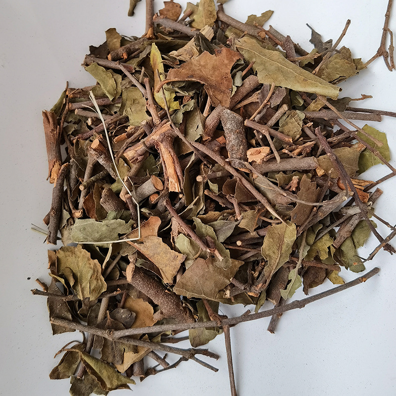 中药材寄生,杂寄生,桑寄生,榭寄生,枫木寄生,各种树木寄生订