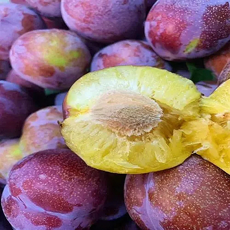 东北李子新鲜5斤脱骨香蕉李子应季特产大红袍干碗干核李水果包邮