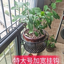 加宽特大号花架阳台栏杆花盆架铁艺悬挂式护栏盆栽月季家用置峰稍