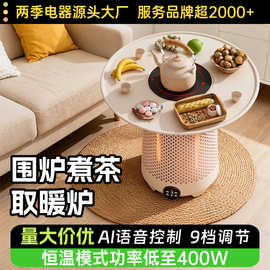 2025新款围炉煮茶取暖器室内家用电器烤火炉电暖气省电冬季神器