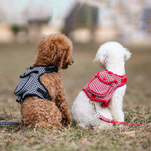 宠物胸背带背心式猫咪狗狗牵引绳小型犬宠物书包式背带现货批发