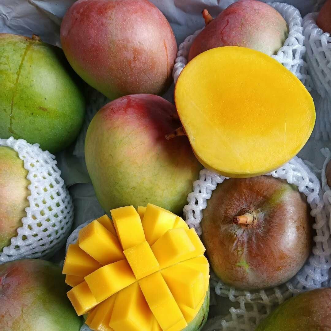 澳芒芒果大果新鲜水果5斤小核大芒果好物非攀枝花凯特青芒甜心芒
