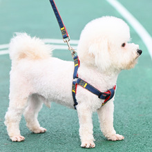 狗狗牵引绳大型中型小型犬狗链子狗项圈泰迪金毛遛狗绳子宠物路师