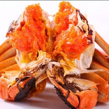 鲜活现货8只礼盒包装大闸蟹4对公5.0母3.