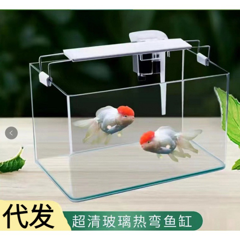 超白缸热弯玻璃鱼缸长方形小型家用鱼缸桌面迷你龟缸热带鱼金鱼缸