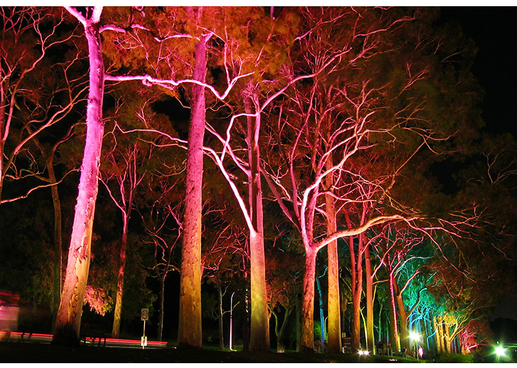 超薄七彩rgb投光灯户外防水照树灯公园亮化照明灯景观灯带遥控50w