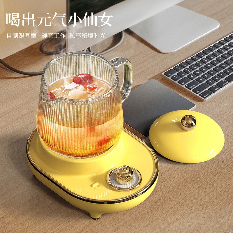 Electric Stew Cooker Multifunctional Office Health Bottle Heating Cup Bird's Nest Cup Slow Cooker Mini Scented Tea Health Pot Wholesale