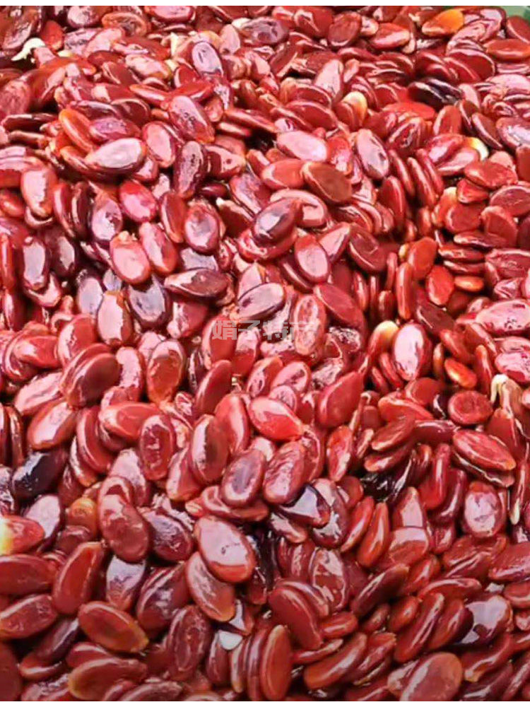 原味炒熟红瓜子江西香炒结婚熟的的大片盐水煮蒸汽大颗粒西瓜子