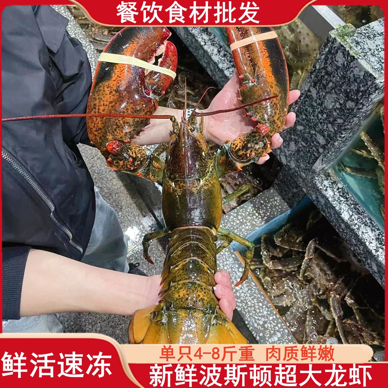 波士顿龙虾鲜活冷冻大龙虾海鲜水产超大活冻大波龙餐饮批发食材