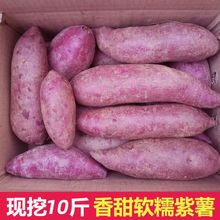 精选紫薯10斤沙地紫薯新鲜番薯地瓜蜜薯板栗红薯2/5斤批发厂家