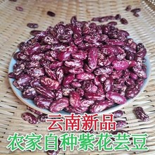 今年新豆云南饭豆大红芸豆新鲜四季豆五谷杂粮豆花芸豆米腰豆贵州