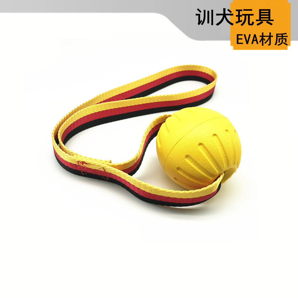 狗狗玩具球耐咬弹力训练球边牧金毛马犬中大型犬拉环飞盘宠物用品