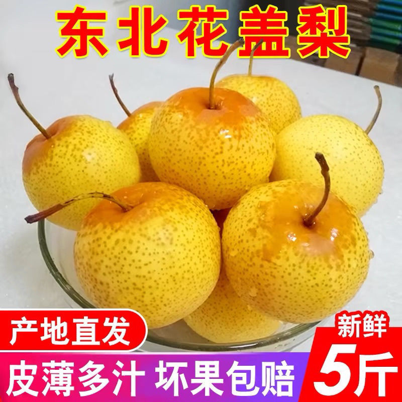 正宗花盖梨5斤包邮老味道东北鞍山特产可做冻梨秋子梨花盖梨-阿里巴巴