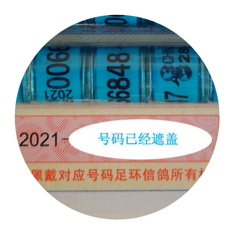 足环2021信鸽带证脚环批发特比鸟环赛鸽统一鸽子脚环用品用具
