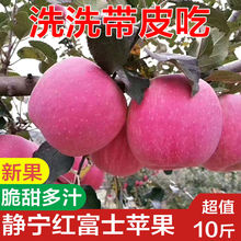 【2023新果】甘肃静宁苹果静宁红富士苹果新鲜现摘脆甜多汁一整箱