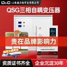 上海德力西开关380V变220V转480/660自耦QSG100KVA三相干式变压器