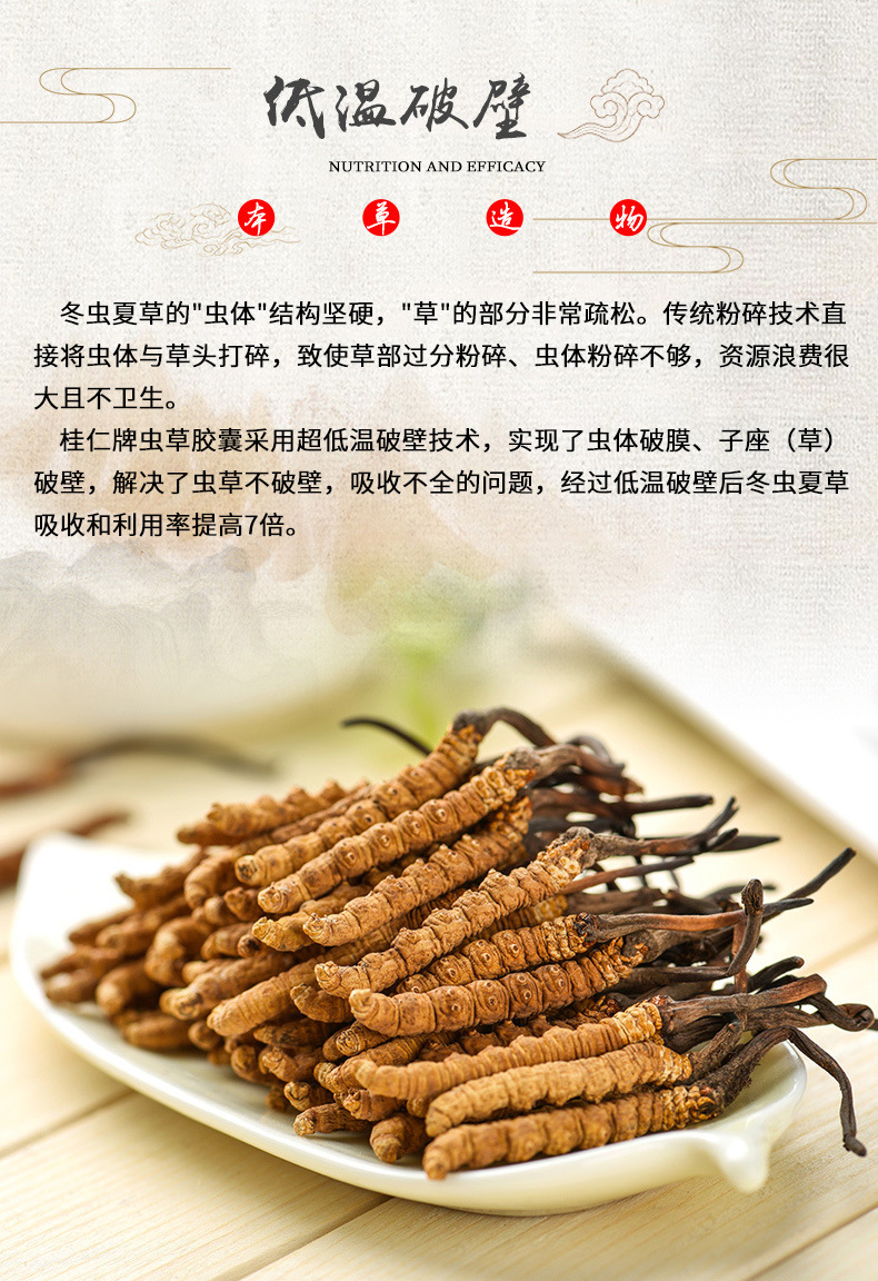 藏岭冬虫夏草胶囊蛹虫草菌丝体蓝帽保健养元精胶囊保健食品虫草参