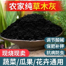 种菜用的草木灰园艺纯草木灰肥料农家稻壳天然土壤改良剂