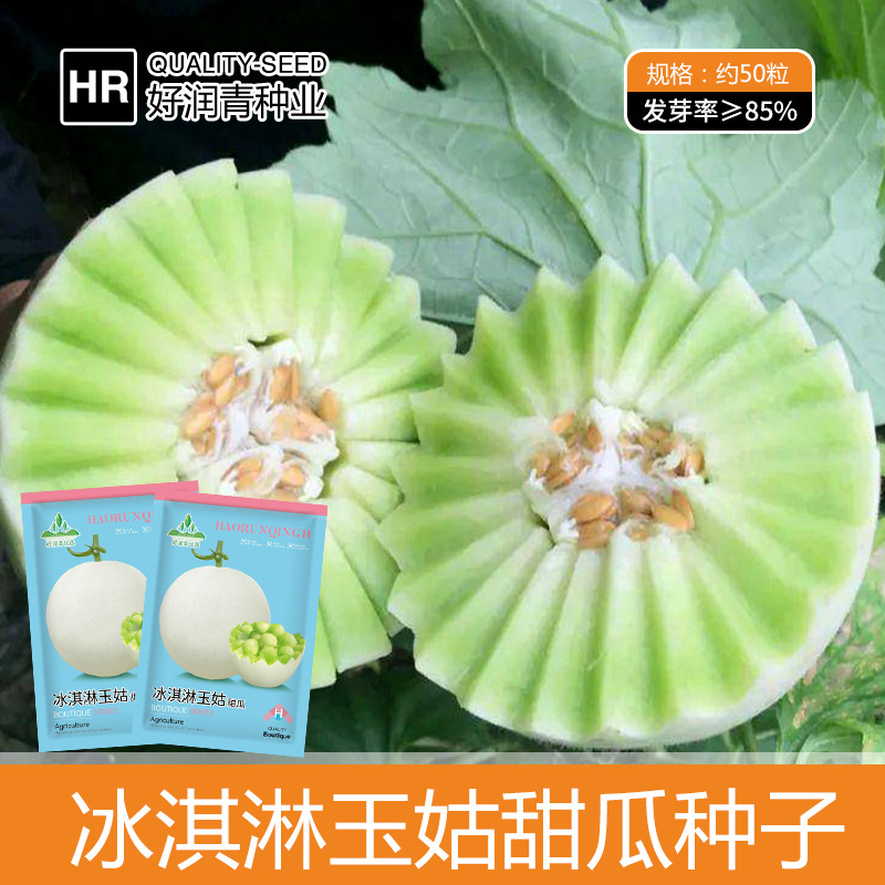 厂家批发冰淇淋玉菇甜瓜种子白皮绿肉台湾厚皮蜜瓜种籽超甜水果籽