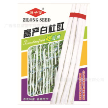 高铲白杜豇甜豆角250克 冯子龙种苗公司直售批零大田基地种植蔬菜