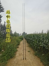 架网杆可调伸缩撑网杆米米米米带地插撑幕杆撑天幕杆便携长杆