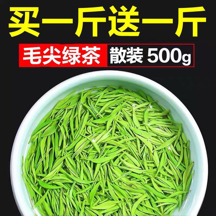 首单立减【买一斤送一斤】茶叶毛尖绿茶2023信阳新茶绿茶浓香耐泡