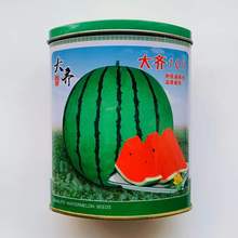 傲美一号甜王西瓜种子图片