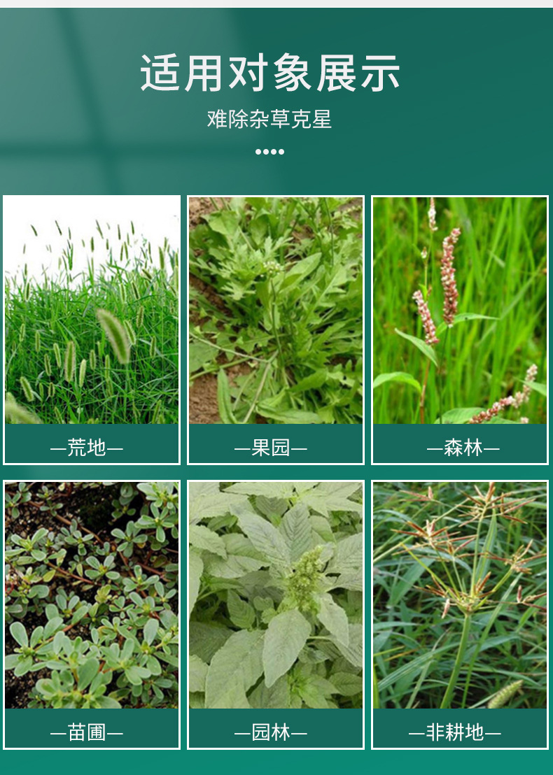 农药酷根侬达农达41草甘膦异丙胺盐烂根瓶装除草剂草甘膦批发