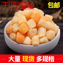 北海干贝瑶柱干货500g 淡干大连300头 新海鲜干货干度足元贝扇贝