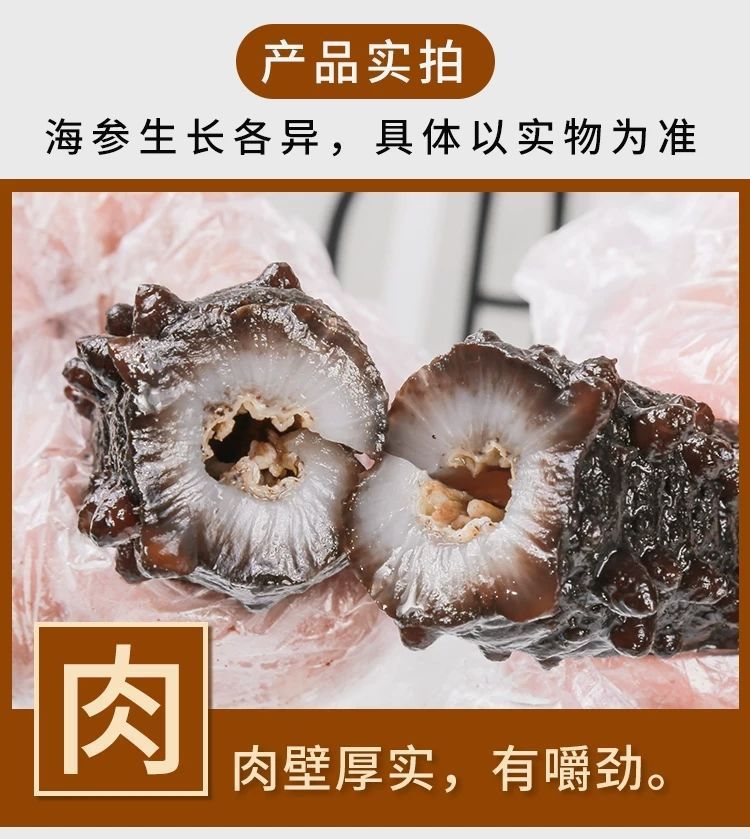 大连野生海参即食野生刺参非长岛海参非淡干批发速食海参-阿里巴巴
