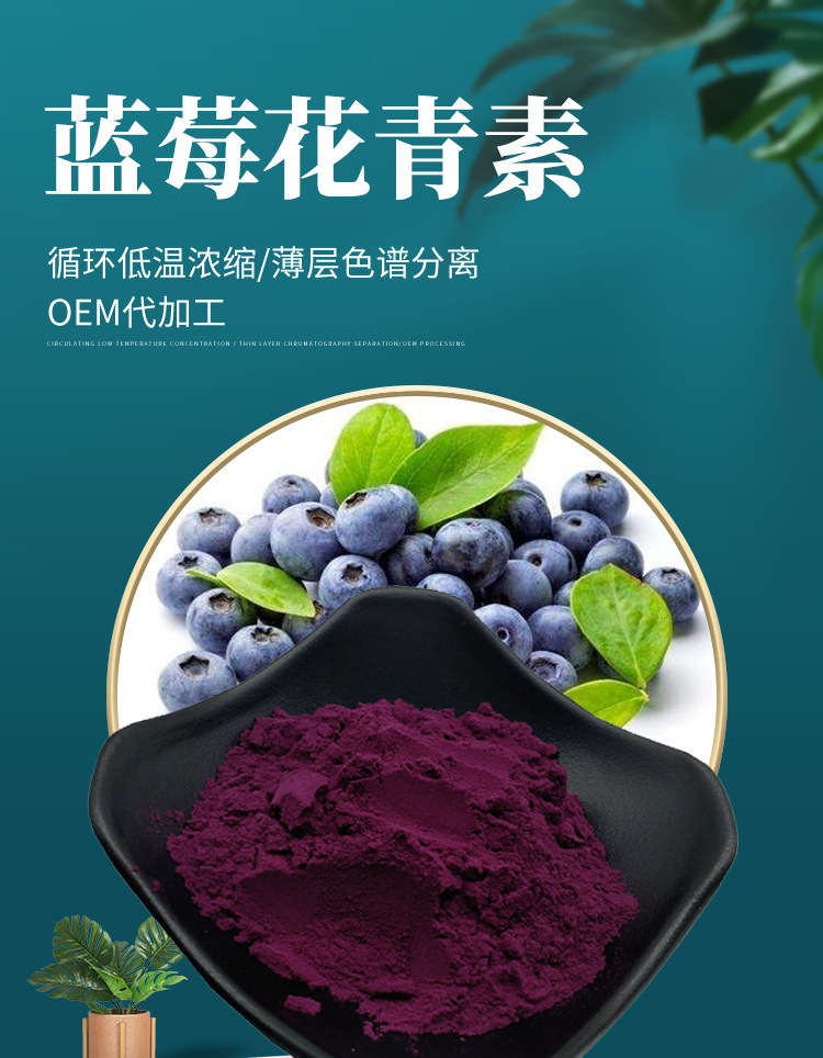 25%蓝莓花青素 水溶性蓝莓提取物蓝莓果粉蓝莓花色苷蓝莓花青素
