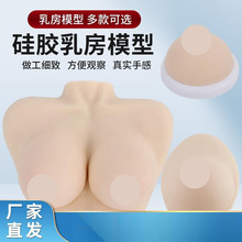 教学乳房模型 催乳师培训道具哺乳教学模型 矽胶假乳房 医学教具