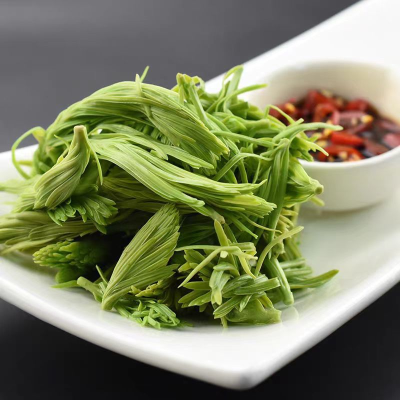 云南山林野菜沙松尖1000g*10袋饭店餐饮半成品凉菜盐水渍野菜野花