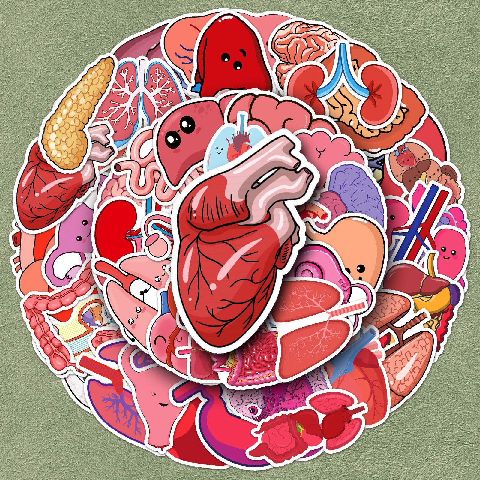 跨境50张人体器官创意贴纸心脏大脑卡通涂鸦装饰笔记本电脑手机壳