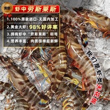 塞拉利昂竹节虾 斑节虾特大海鲜 鲜活急冻九节虾生鲜虾类基尾虾