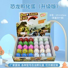 跨境新奇中号恐龙蛋孵化玩具蛋泡水膨胀蛋变形蛋儿童益智玩具包邮