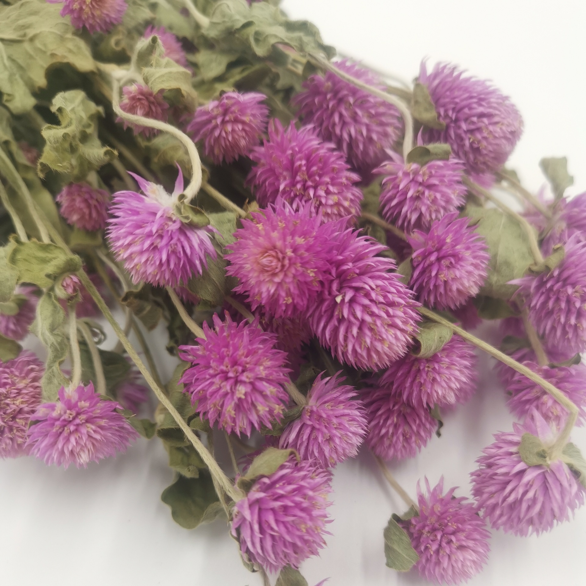 千日红干花花束永生花云南干花插花diy花环花材配花配草基地直销